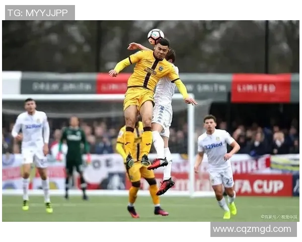 西悉尼对战珀斯足球竞彩分析及赛前预测全方位解读 西悉尼对战珀斯足球竞彩分析及赛前预测全方位解读