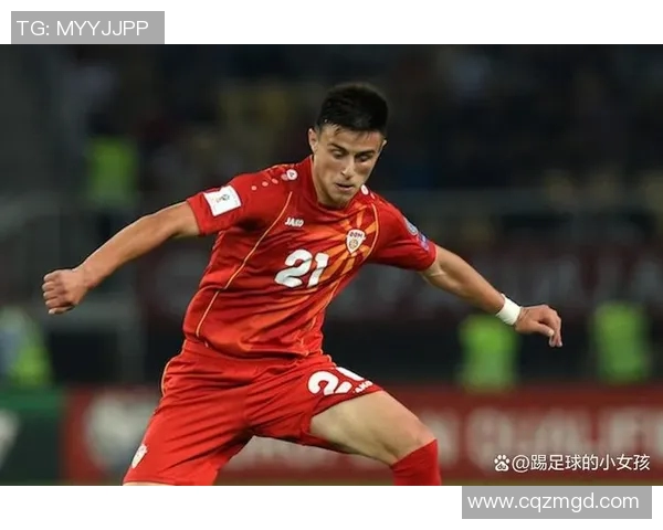 马其顿与列支敦士登足球对决全面分析及赛前预测