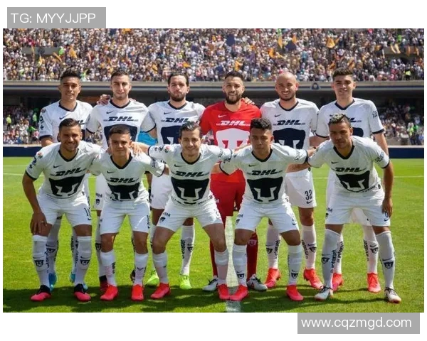 美洲狮与墨西哥足球赛精彩直播全程回顾与分析