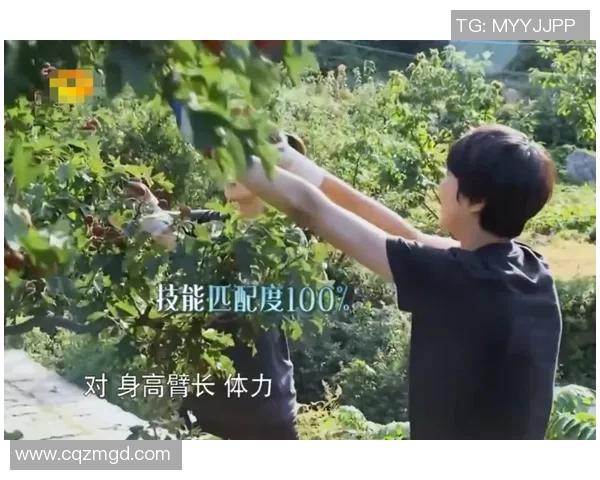 专访黄磊揭秘排球成功秘诀与团队协作的重要性