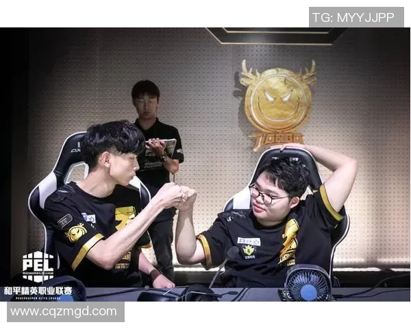 和平精英战术排行榜更新RNG战队稳居第一名引领潮流MBA 和平精英战术排行榜更新RNG战队稳居第一名引领潮流MBA