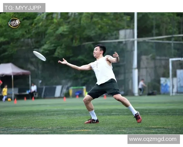 成都飞盘队运营分析:成功经验与面临挑战的全面探讨