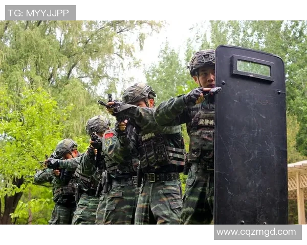 独家解析V5战术对比与战队表现的深度剖析MBA