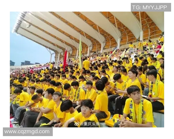 重庆排球队速度之争引发热议球迷与专家各执己见