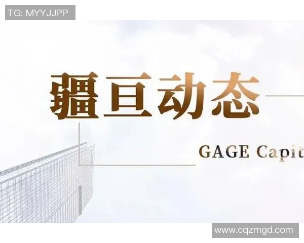 深圳排球队的整体压制策略与技术分析深度探讨